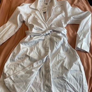 Zara Belted Dress Large NWT